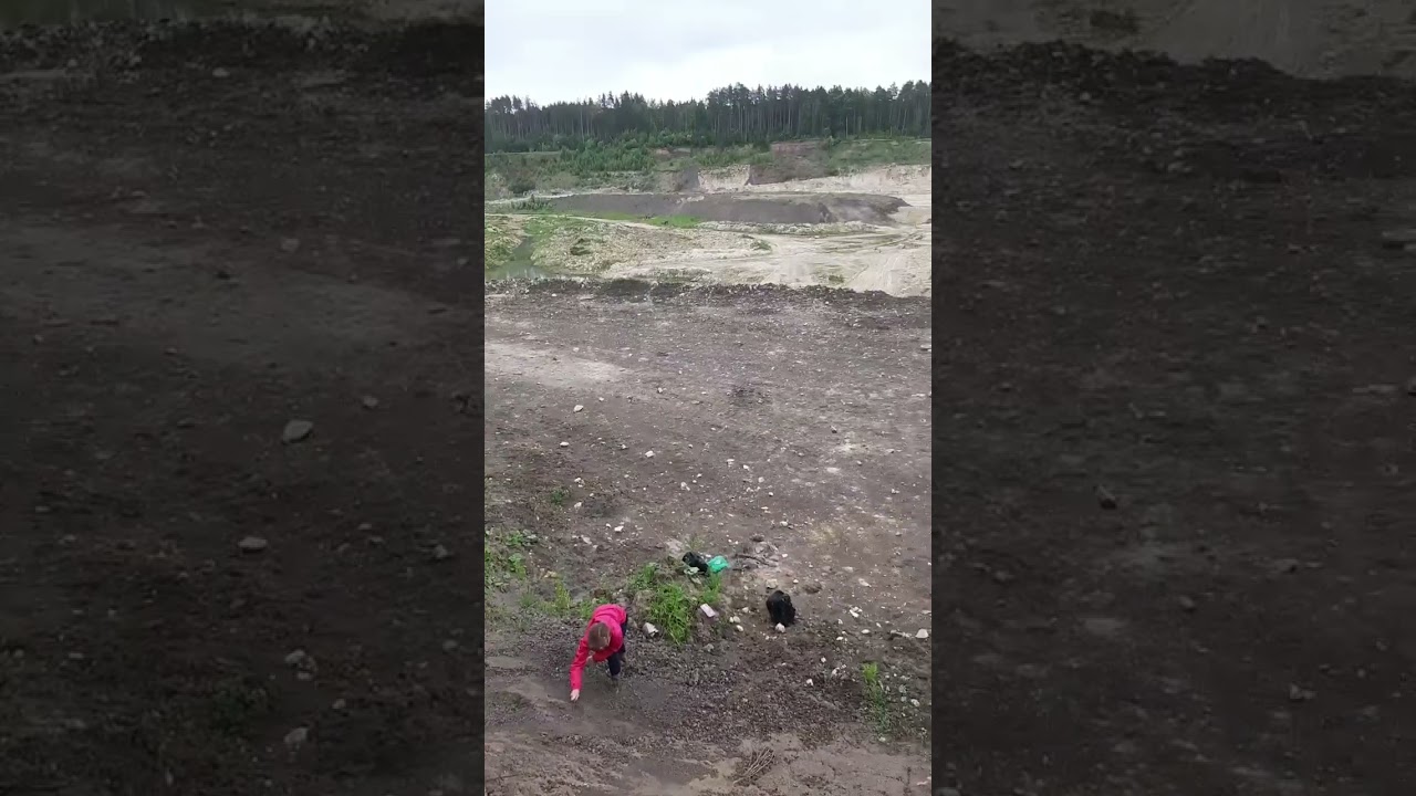 Все в работе. Копаем юрскую глину Подмосковья. Кто наверху, кто внизу. #палеонтология #paleontology