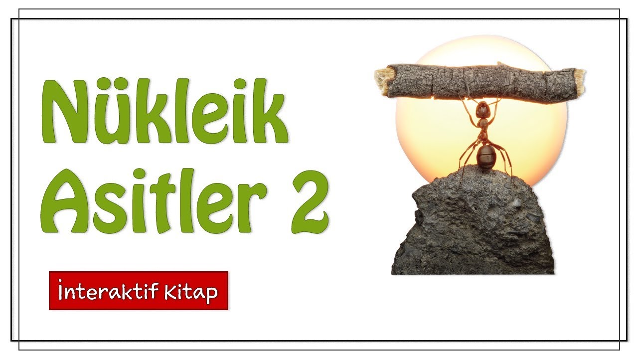 Nükleik Asitler 2 #sayfa36
