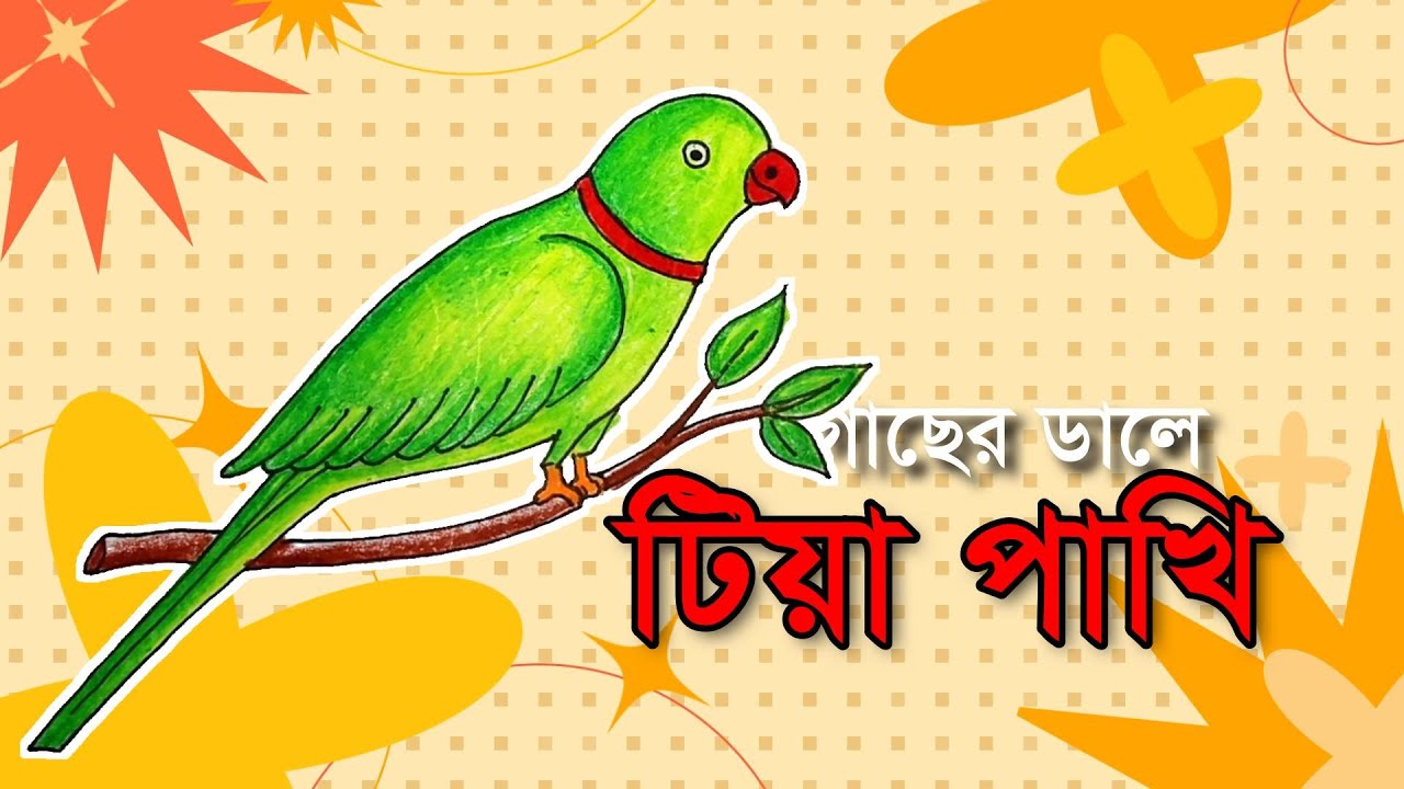 গাছের ডালে টিয়া পাখি How to Draw a Parrot Step by Step