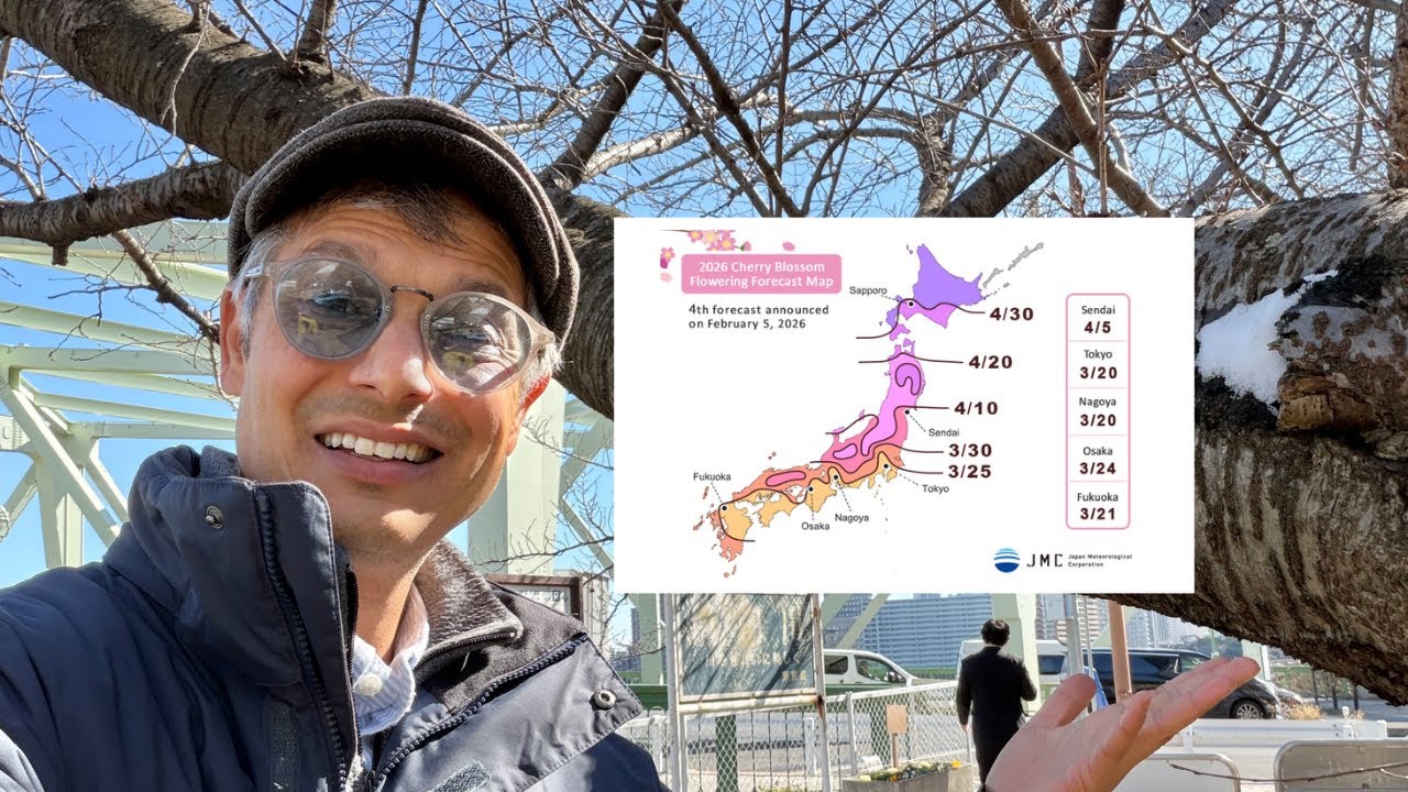 Japan Cherry Blossom 2026 Schedule - Tokyo, Kyoto, Fukuoka, Sapporo