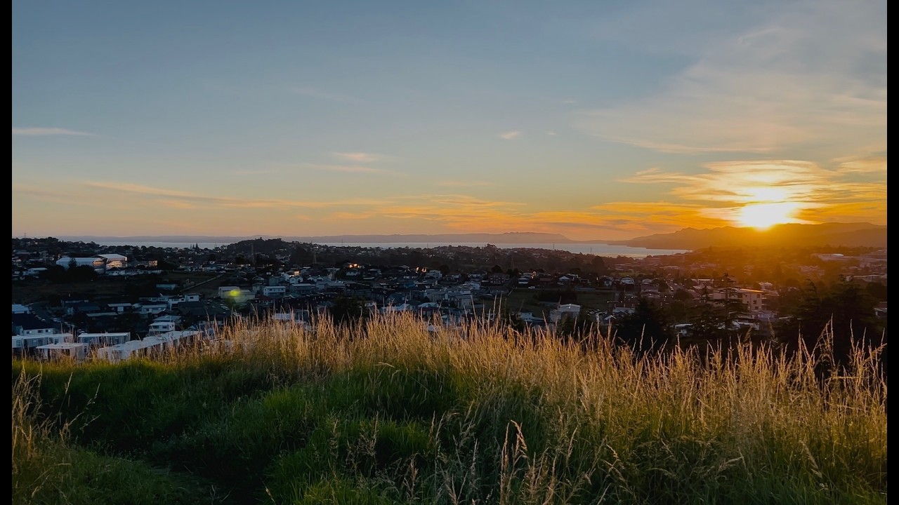 Auckland City Tour