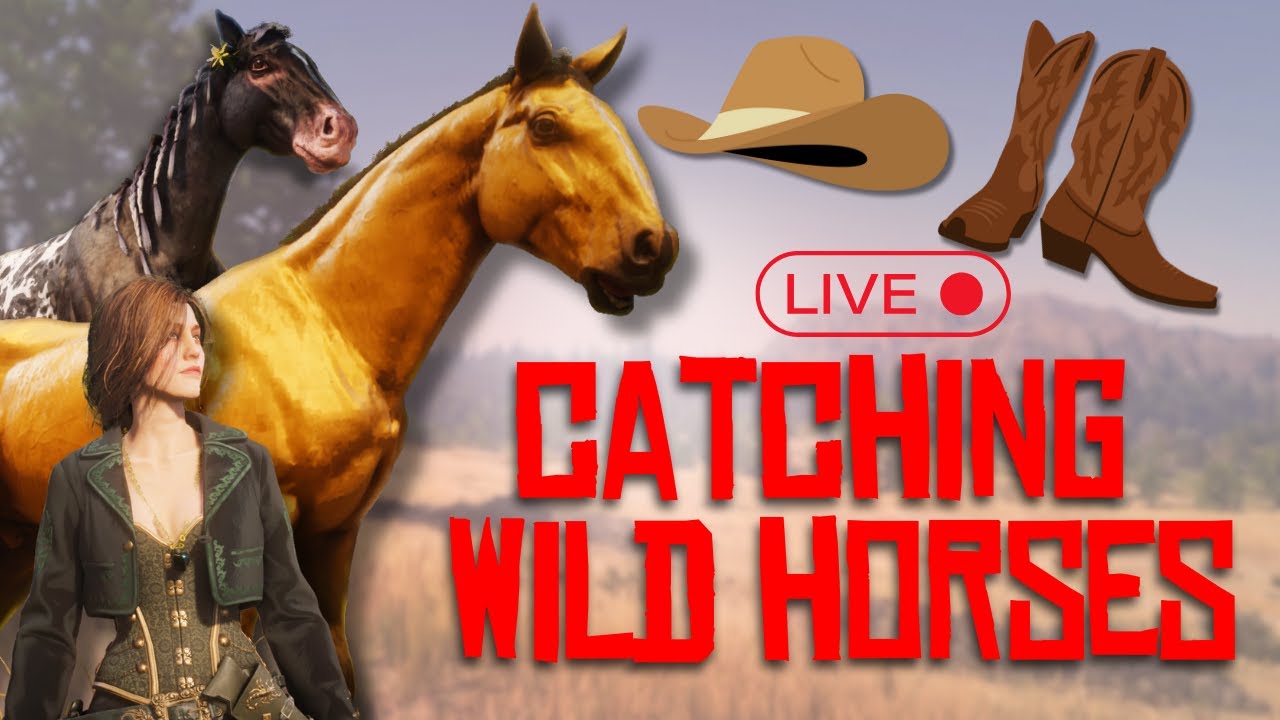 CATCHING WILD HORSES 🔴 RedM Ranch RP