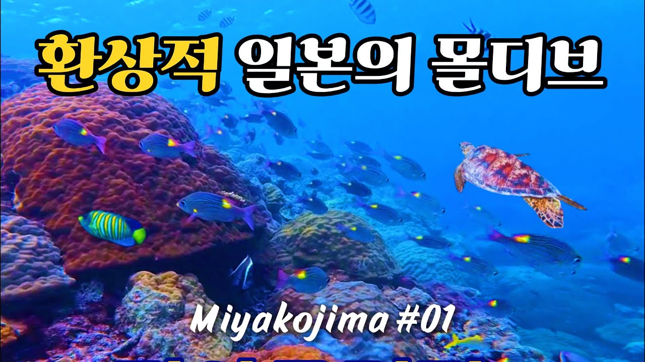 🇯🇵ep.1 죽기 전 꼭 가봐야 할 섬🏝️ㅣ바닷속부터 은하수까지 완벽 코스ㅣ해변•숙소•맛집•일정 공유ㅣ매일 물놀이하고 맛있는 거 먹는 천국도 섬