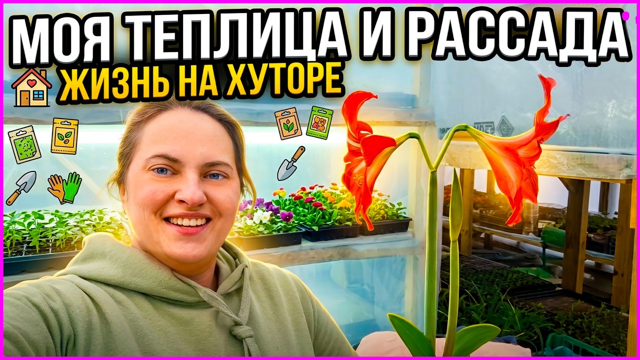 Будни на хуторе: Впихнуть невпихуемое в теплицу!