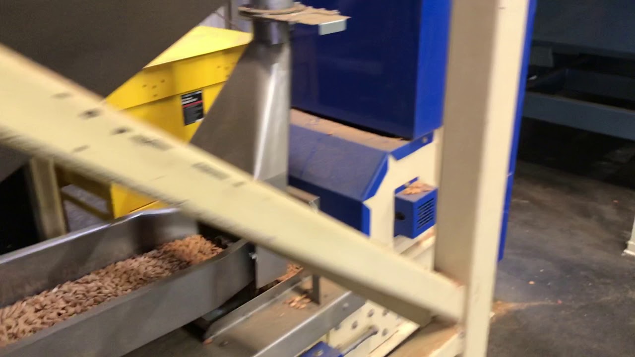 Almond Cleaning & Sizing