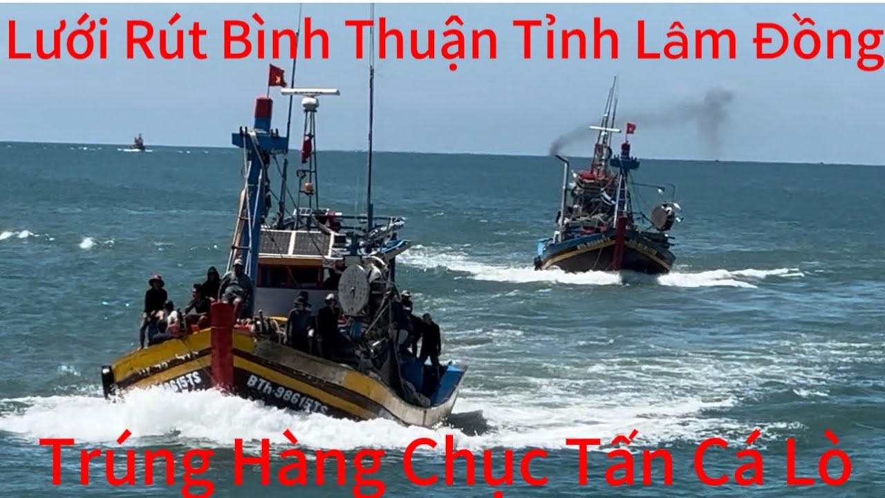 Hôm Nay Lưới Rút Bình Thuận Tỉnh Lâm Đồng Vô Cảng LaGi Ghe Nào Cũng Trúng Hàng Chục Tấn Hải Sản 