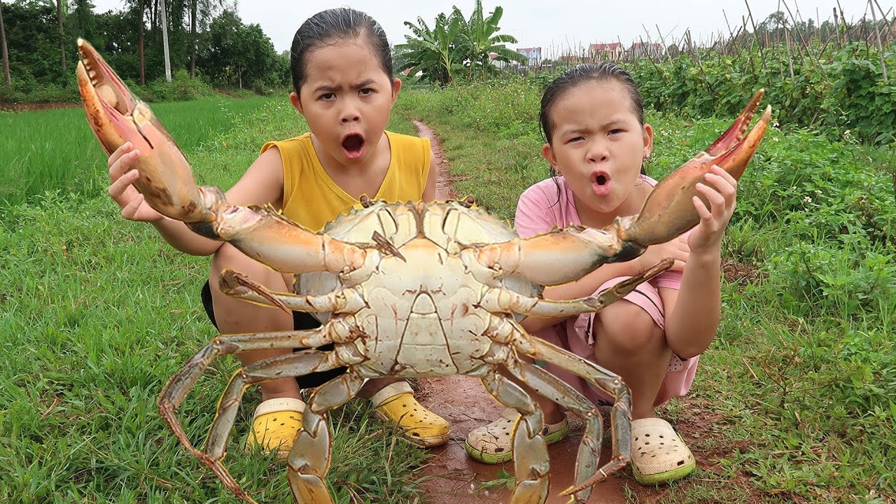 Lộc TiVi ĂN DƯA CHUỘT Bắt Được Cua Khổng Lồ Về Nấu Ăn Ngon L&agrave;nh