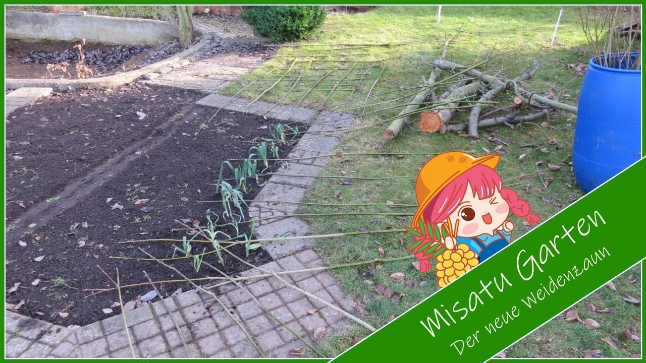Weidenzaun Pflanzen Teil 2 ✪ Gartentipp | German