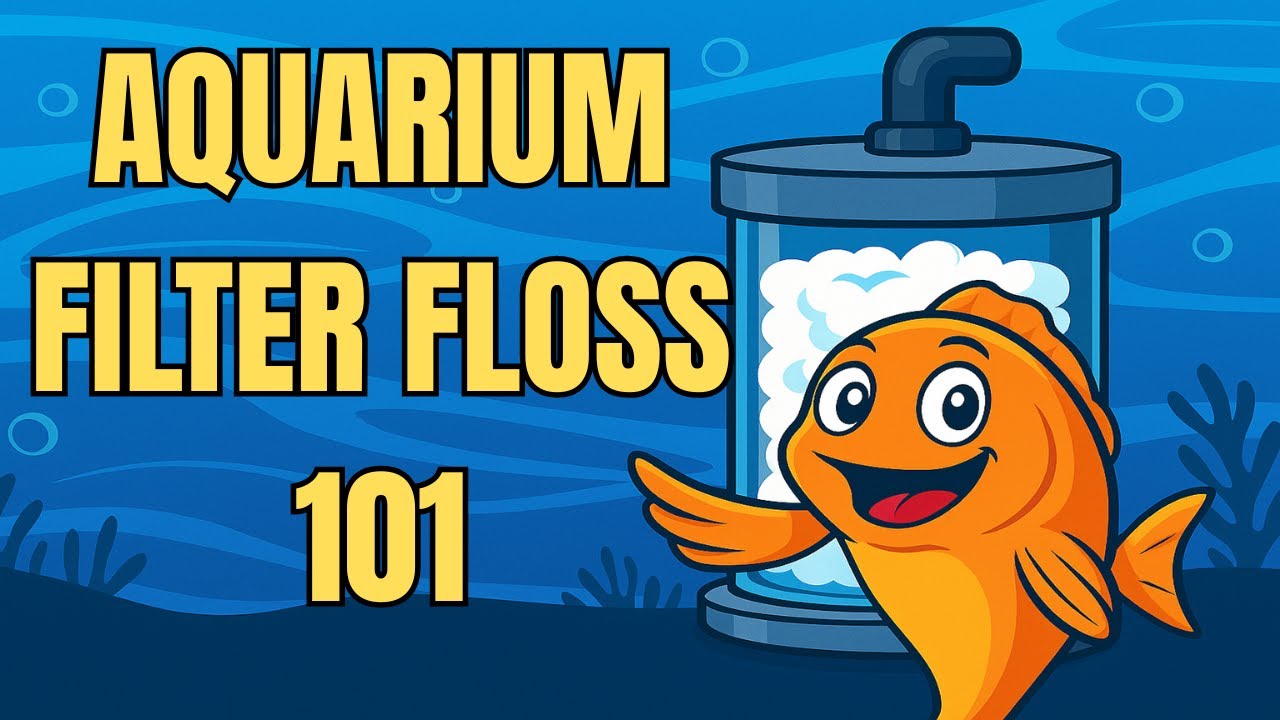 The Unsung Hero of Aquariums: Filter Floss! 💦