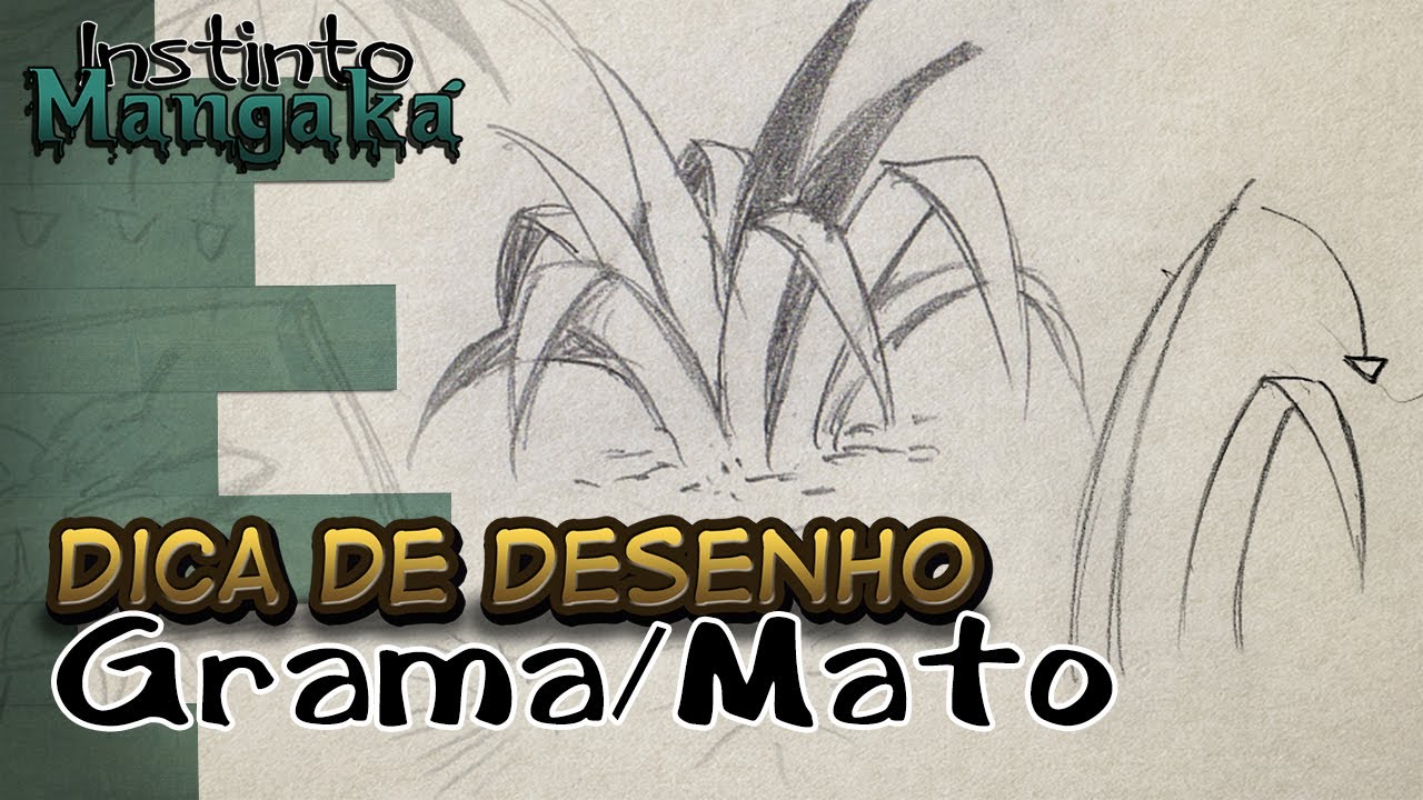 Dica de Desenho - Grama / Mato