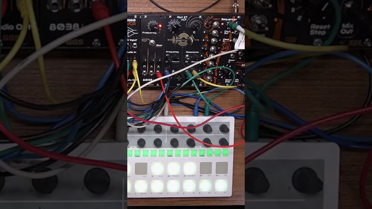 Riot  ST VCF full stereo demo. #electronicmusic #synth #eurorack #housemusic #analogfilter #vcf