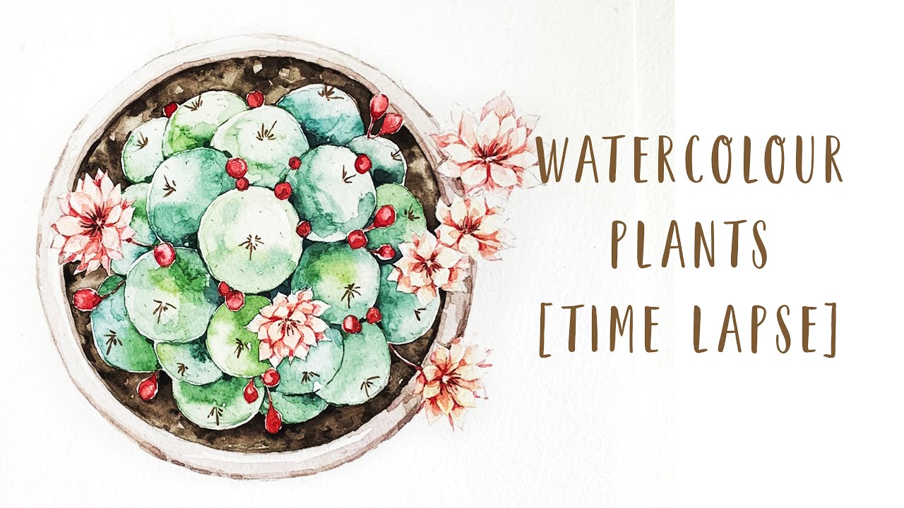 Watercolour, time lapse, succulent 4 (1080p)