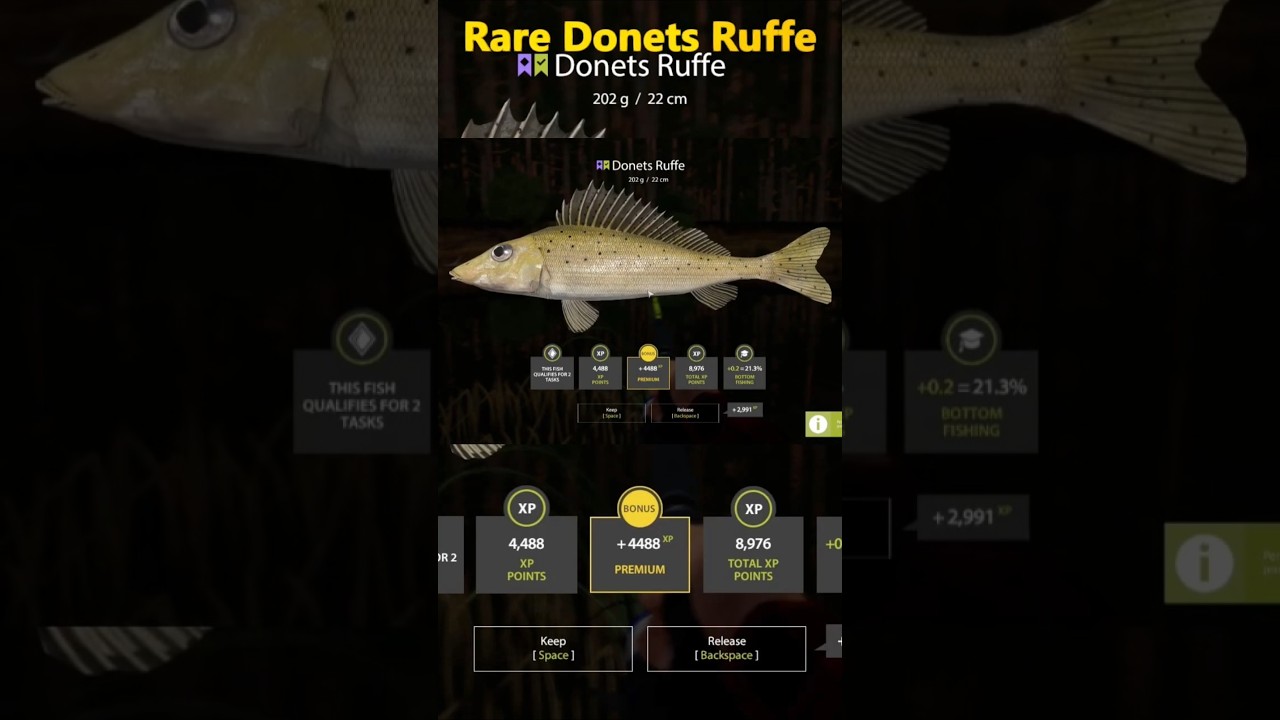 #russianfishing4  Rare #DonetsRuffe #rf4  #fishing #bigfish #rf4spots