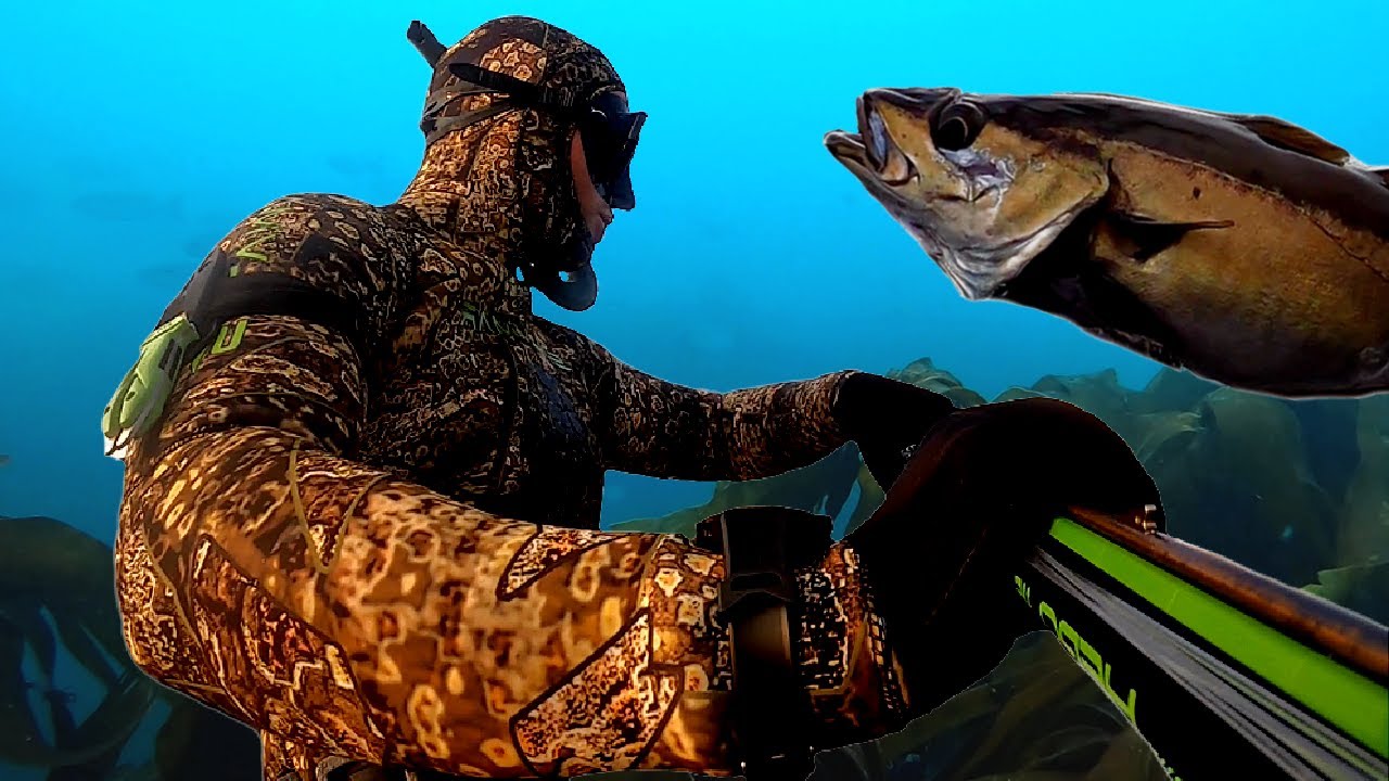 Spearfishing Pollack UK - Catch n Cook (2020)
