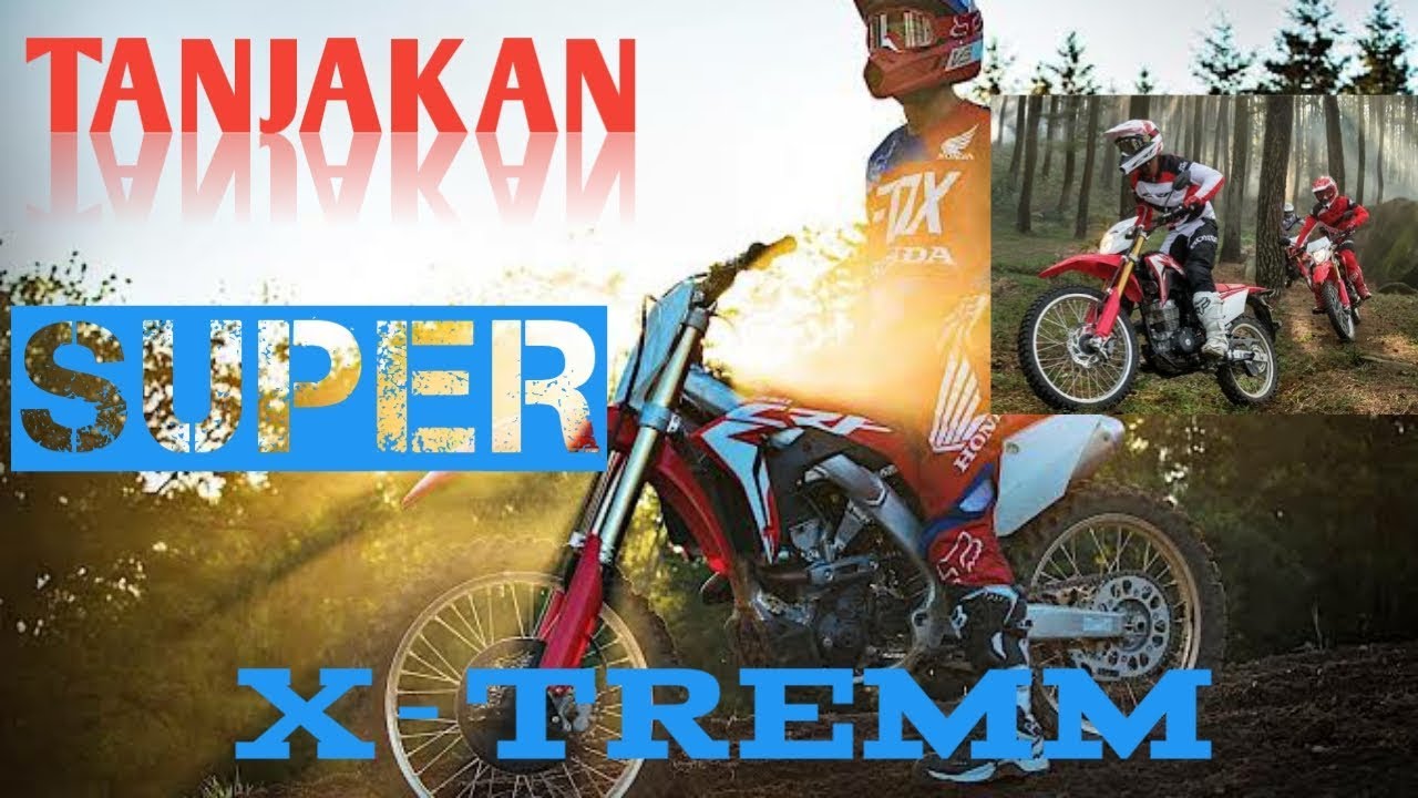Xtreemm#nyali# JELAJAH TANJAKAN YANG ADA DI HUTAN PINUS AMPELGADING #wowIstimewa
