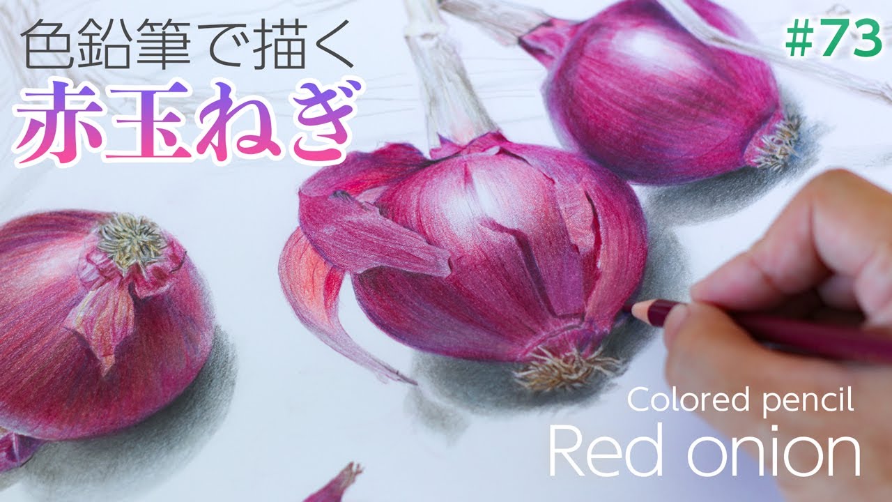 【色鉛筆画】自分で育てた赤玉ねぎ