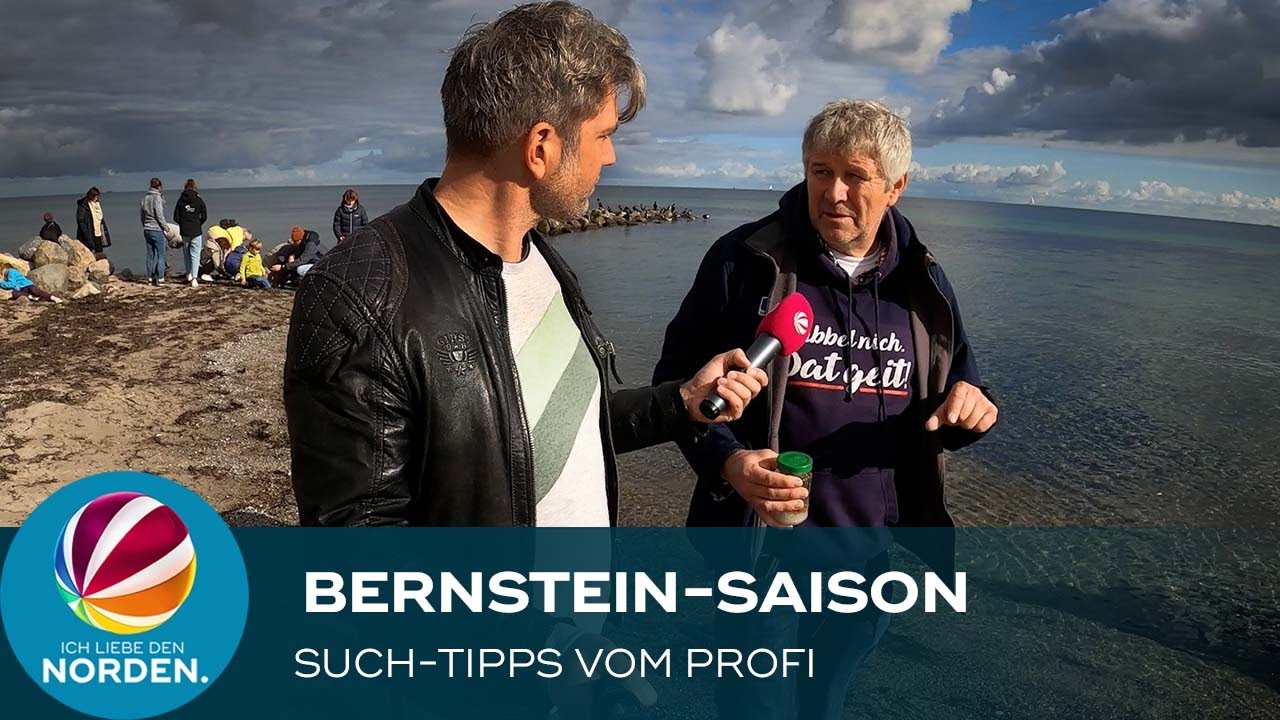 Bernstein-Saison: So ist die Suche garantiert erfolgreich