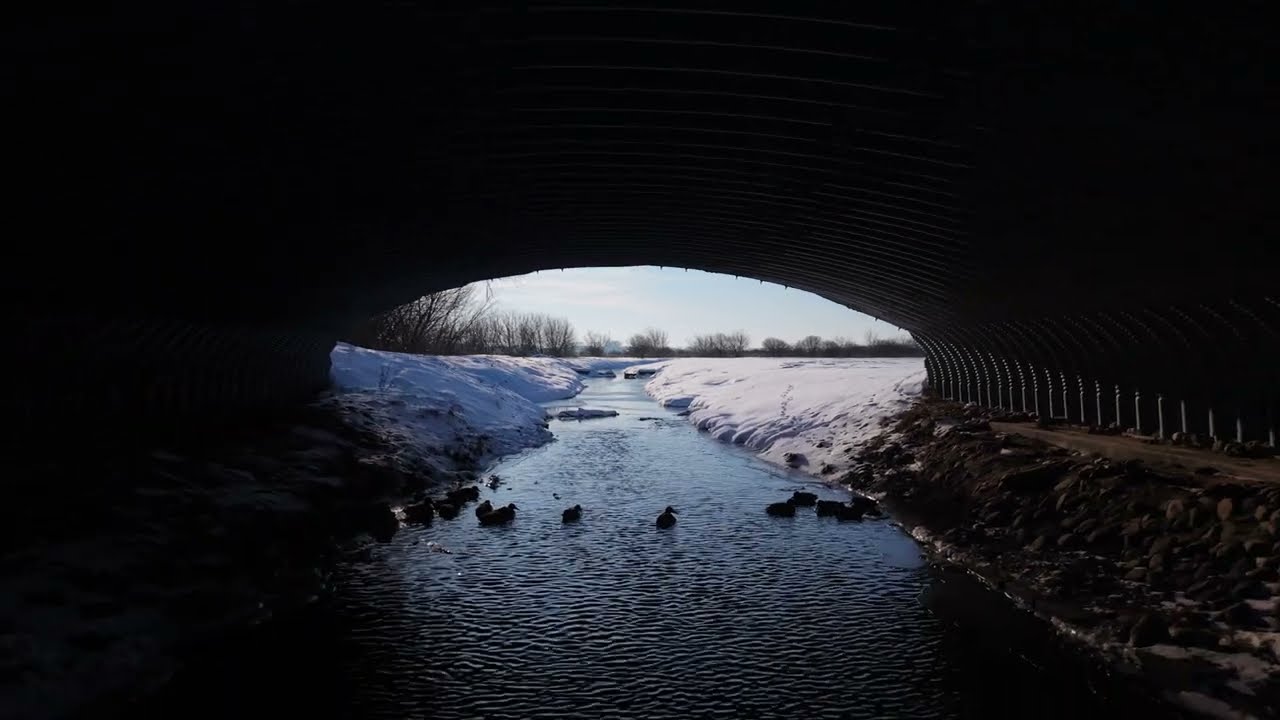 Grobla Jednaczewska 4k