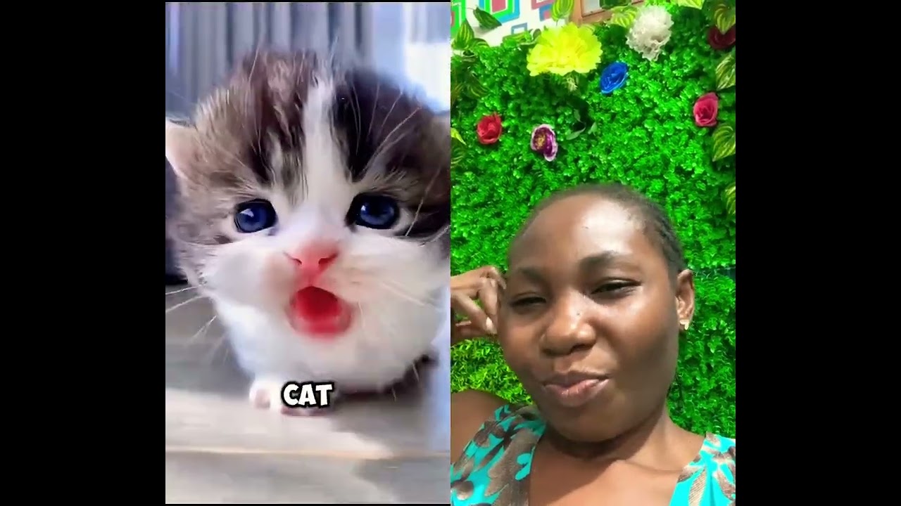#shortvideos #shorts #viralvideo #subscribe