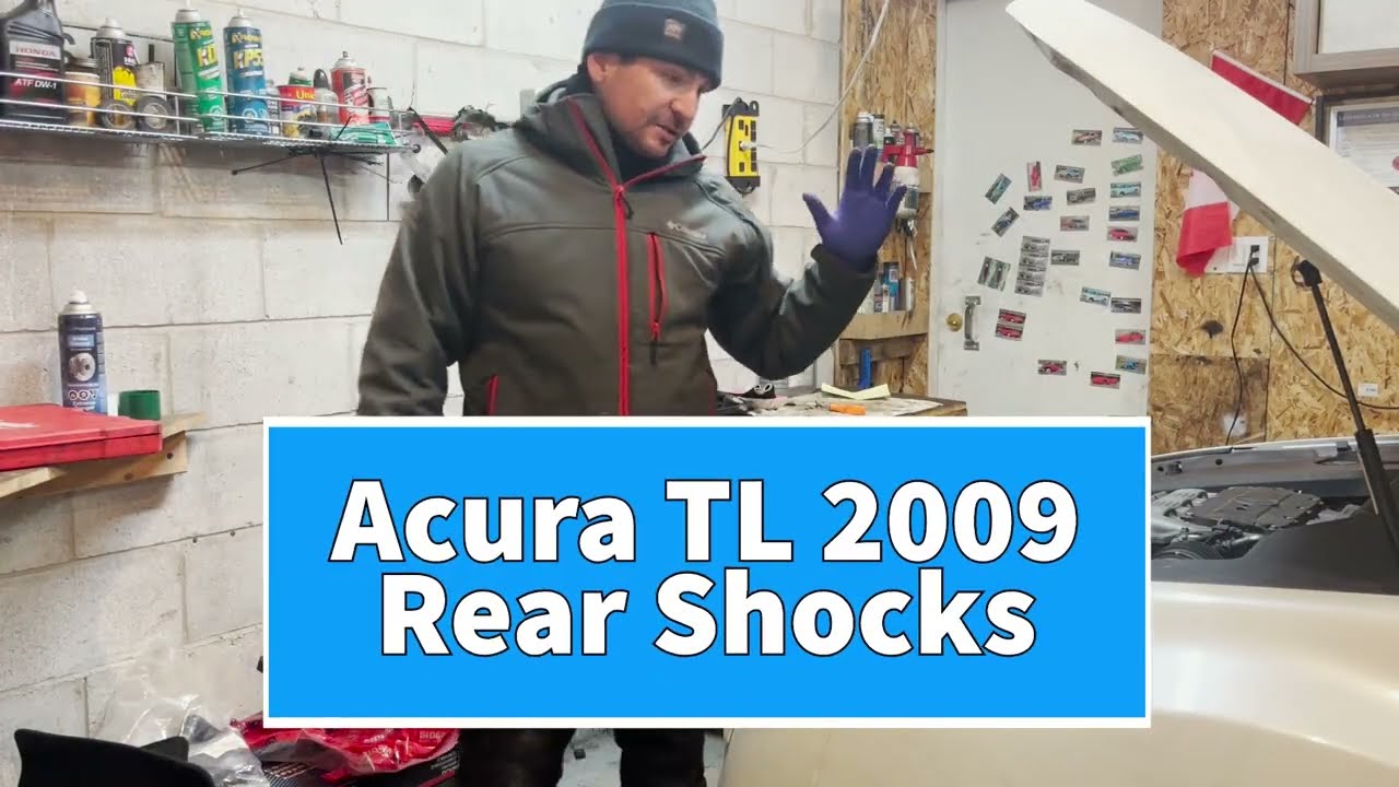 Задние амортизаторы для Acura TL 2009 года.