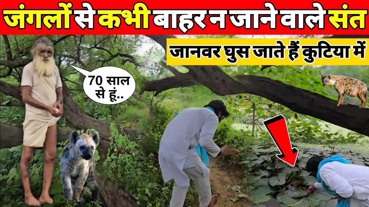 जंगलों से कभी बाहर न जाने वाले दुर्लभ दिव्य संत जो आज किस स्थिति में हैं देख लीजिए #barsana #braj