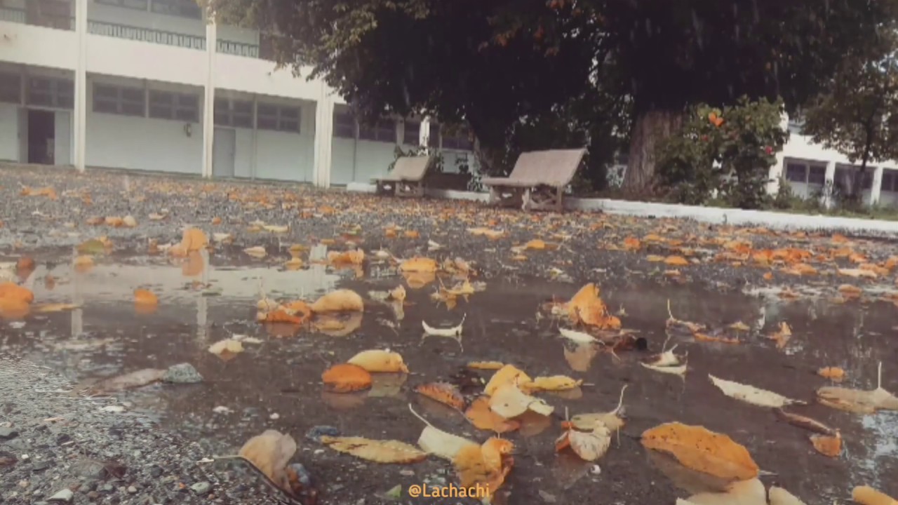 Okyy ,,it's raining... Let's calm down again