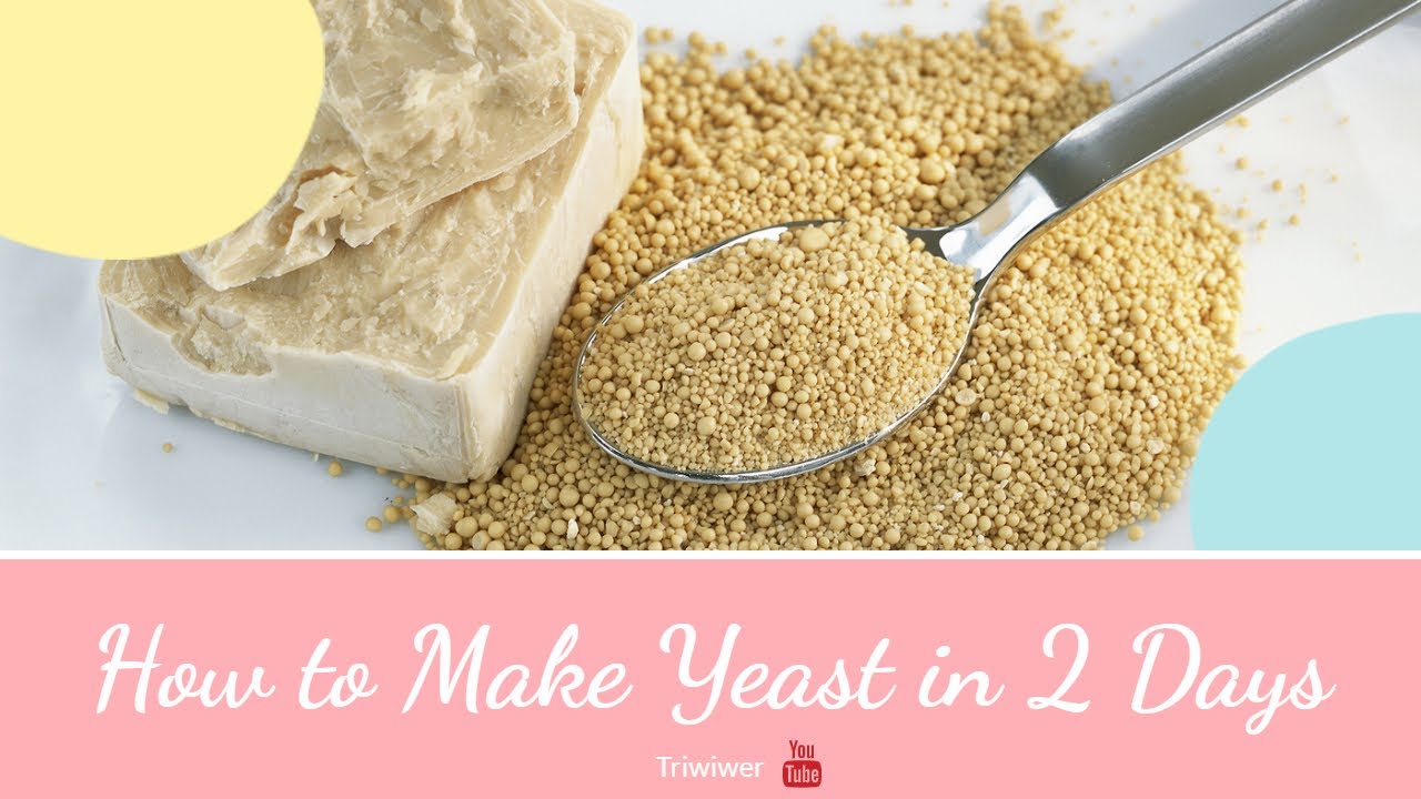 DIY Home Made Yeast Recipe