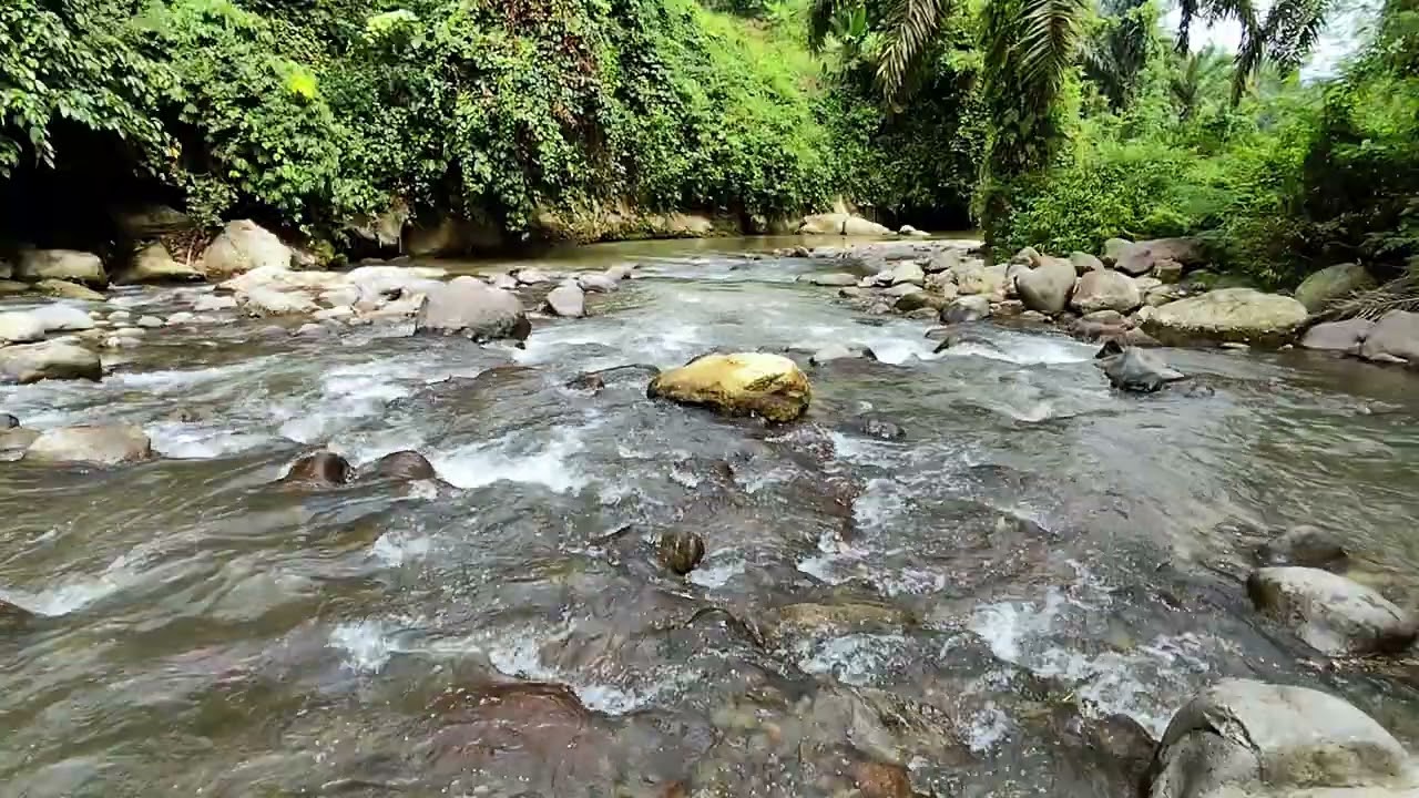 Relaxing River ASMR 🌊 Flowing Water Sounds For Deep Sleep & Stress Relief 2K - 60FPS