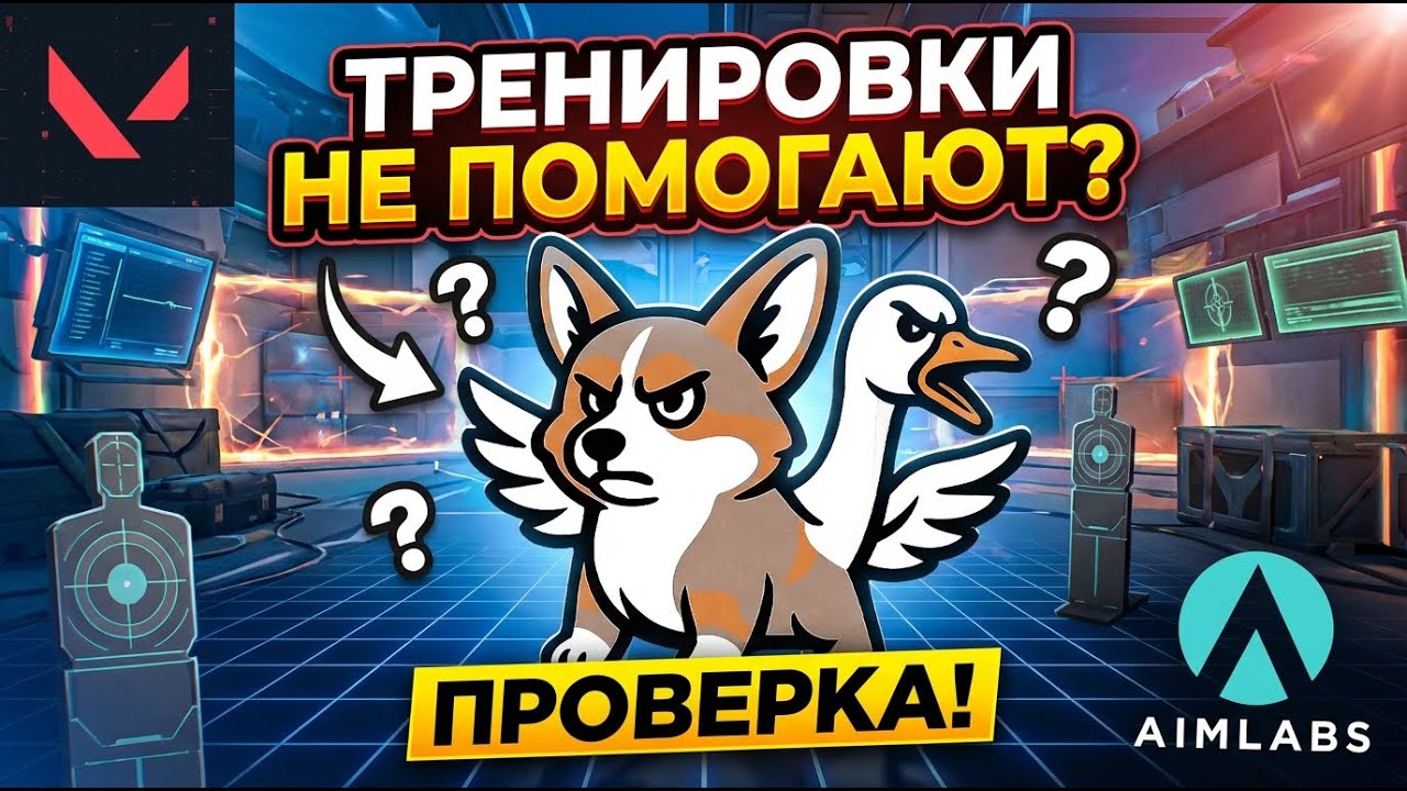 Тренировки не помогают апнуться в Valorant?