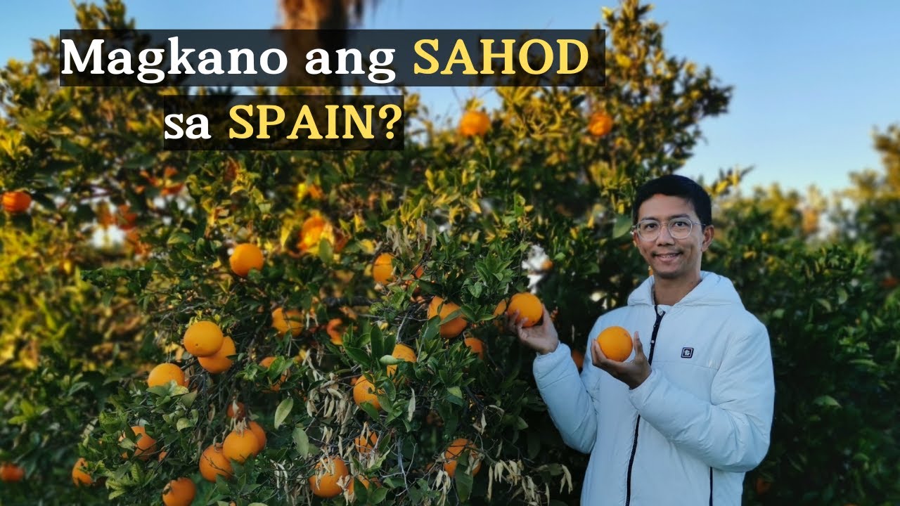 Tumaas ang pasahod sa SPAIN? Wow Good NEWS Talaga Ito Para Sa Mga PINOY!