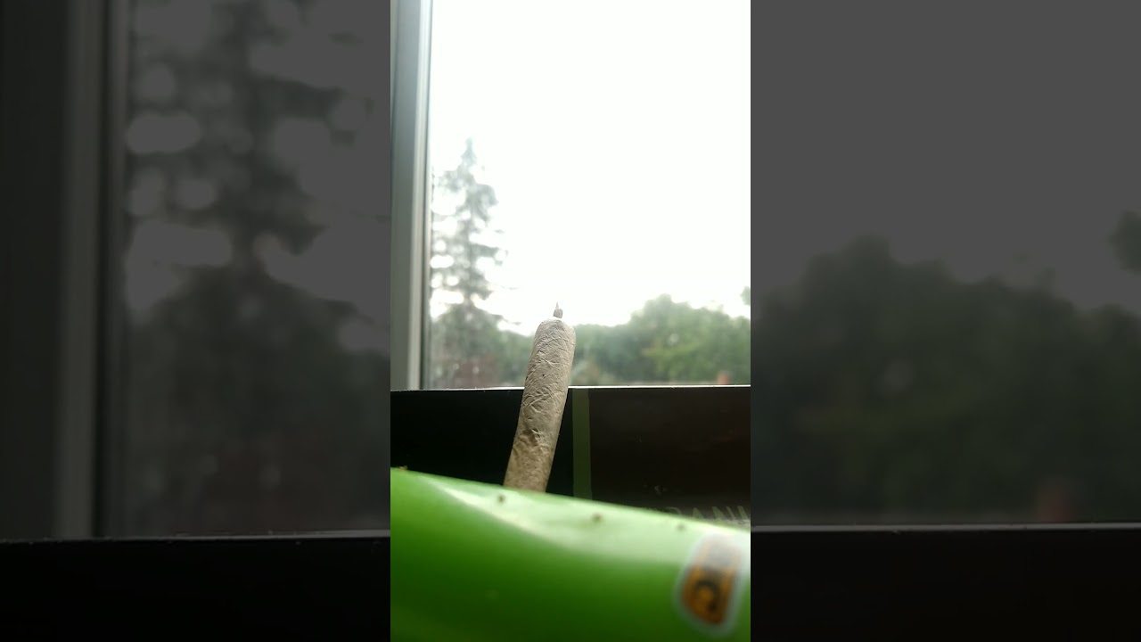 Bouta Take Flight #paperplane #smoke #shorts