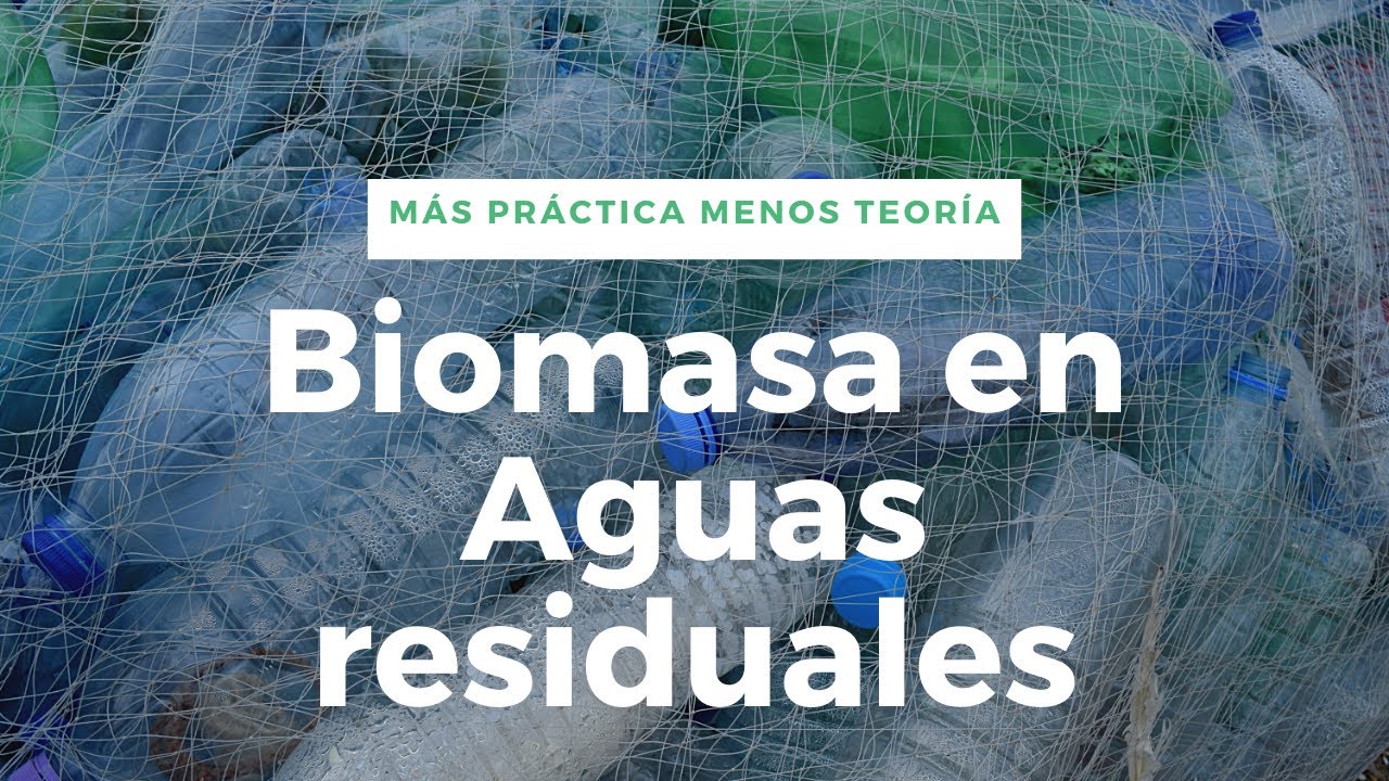 Biomasa en Aguas Residuales (Ra, Rc, Rd) - Estequiometría y microorganismos