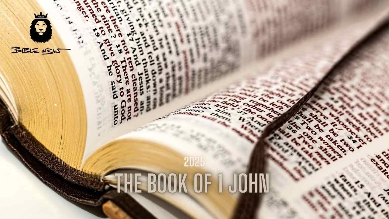 BIBLEin365: Первое послание Иоанна (4.0)
