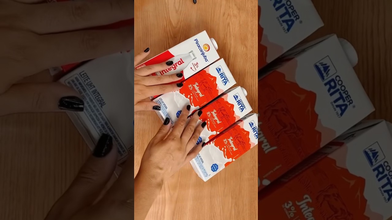 IDEIA FABULOSA COM CAIXAS DE LEITE 