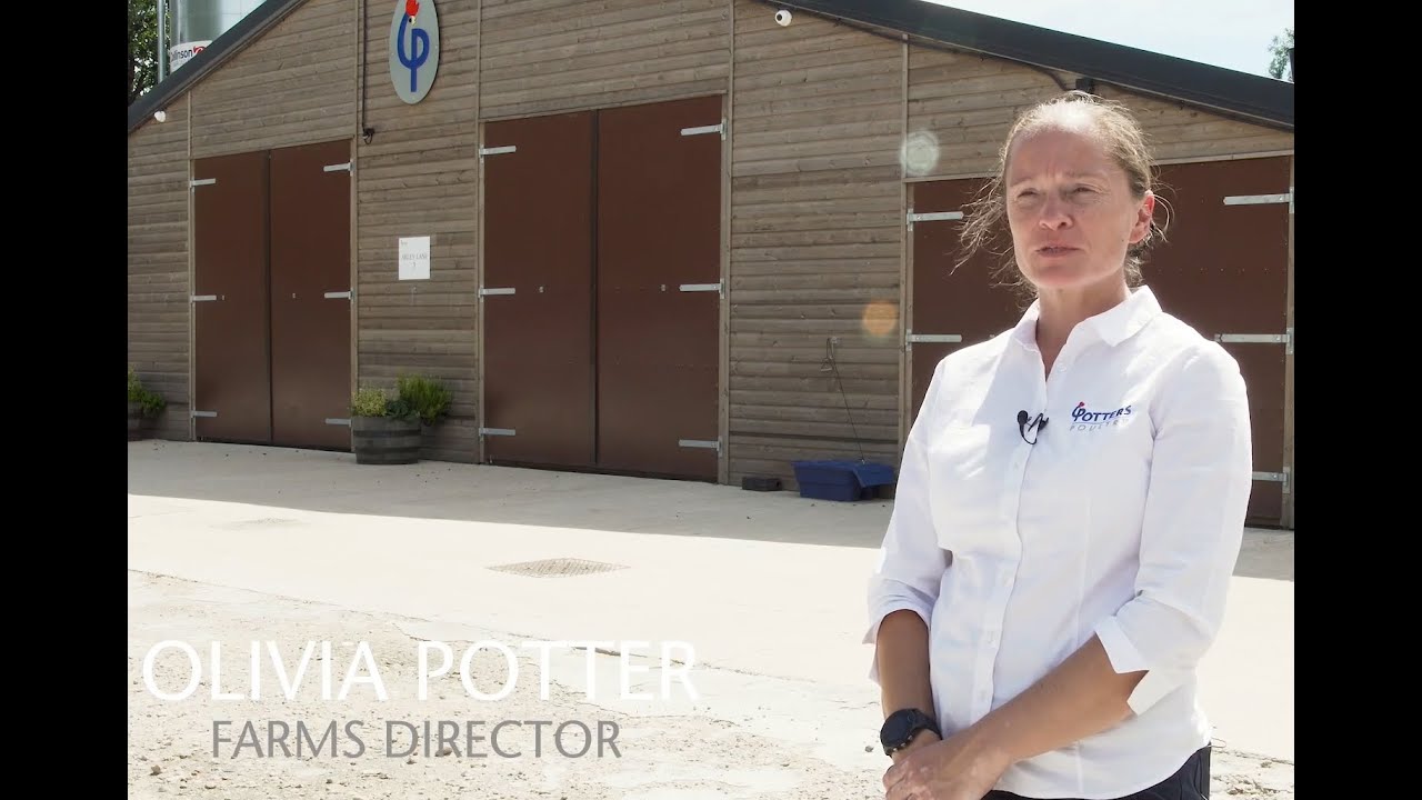 Potters Poultry -  Bienvenue au monde de Potters