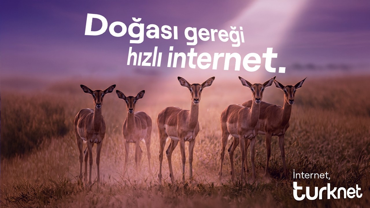 Doğası Gereği Hızlı İnternet, Turknet
