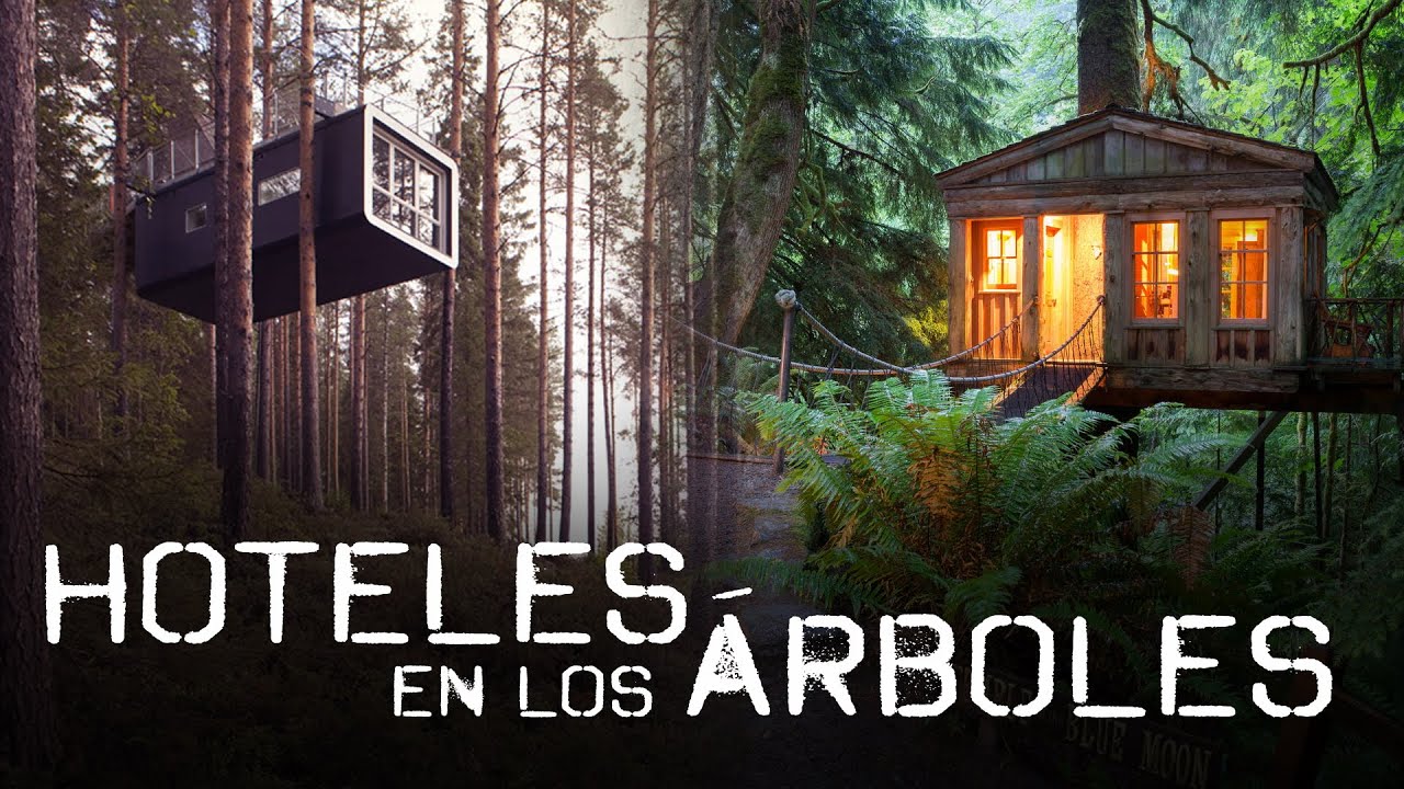 Hoteles en los árboles | Somos Curiosos