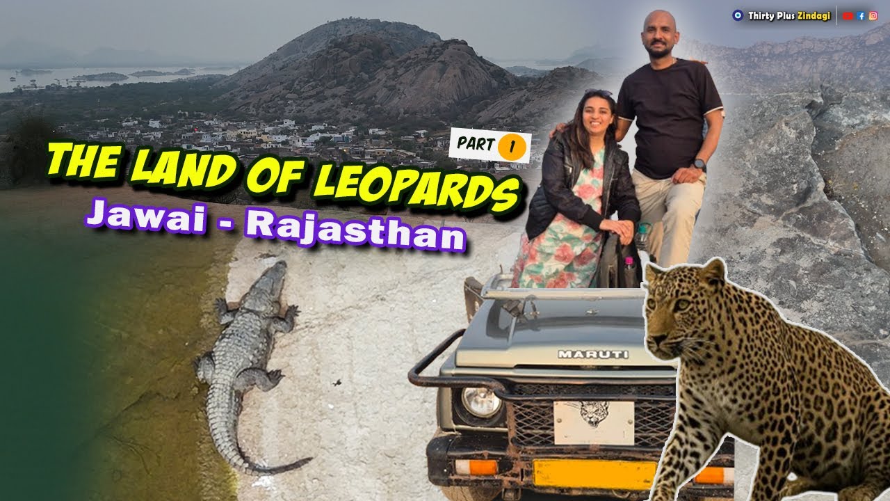 Face to Face with a Wild Leopard! | 📍Jawai Safari Adventure 🐆🐊 |  Part 1 👀
