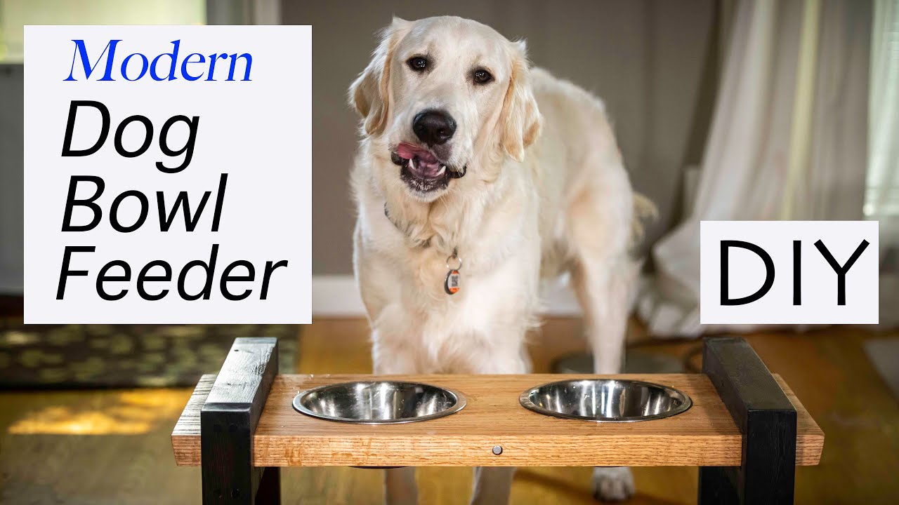 Raised Dog Bowl Feeder I DIY I 4K