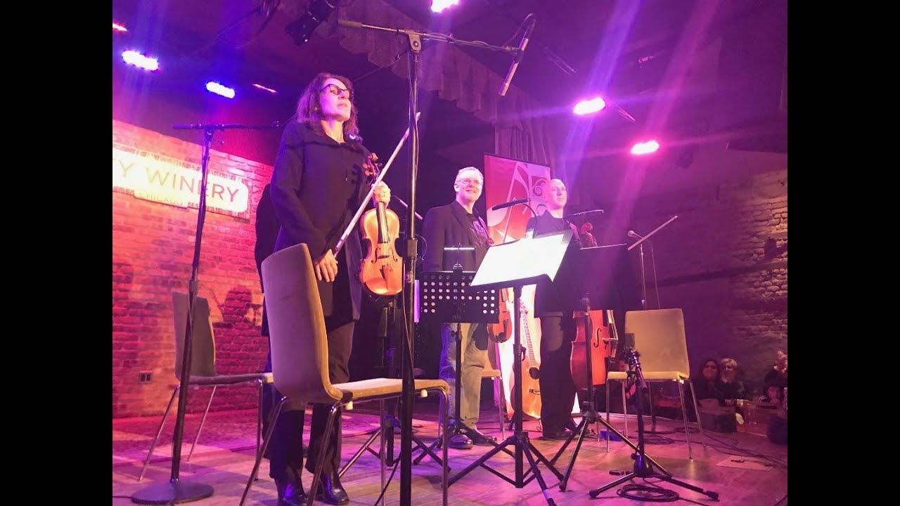 Norwegian Wood | The Beatles string quartet cover by Fab 4tet