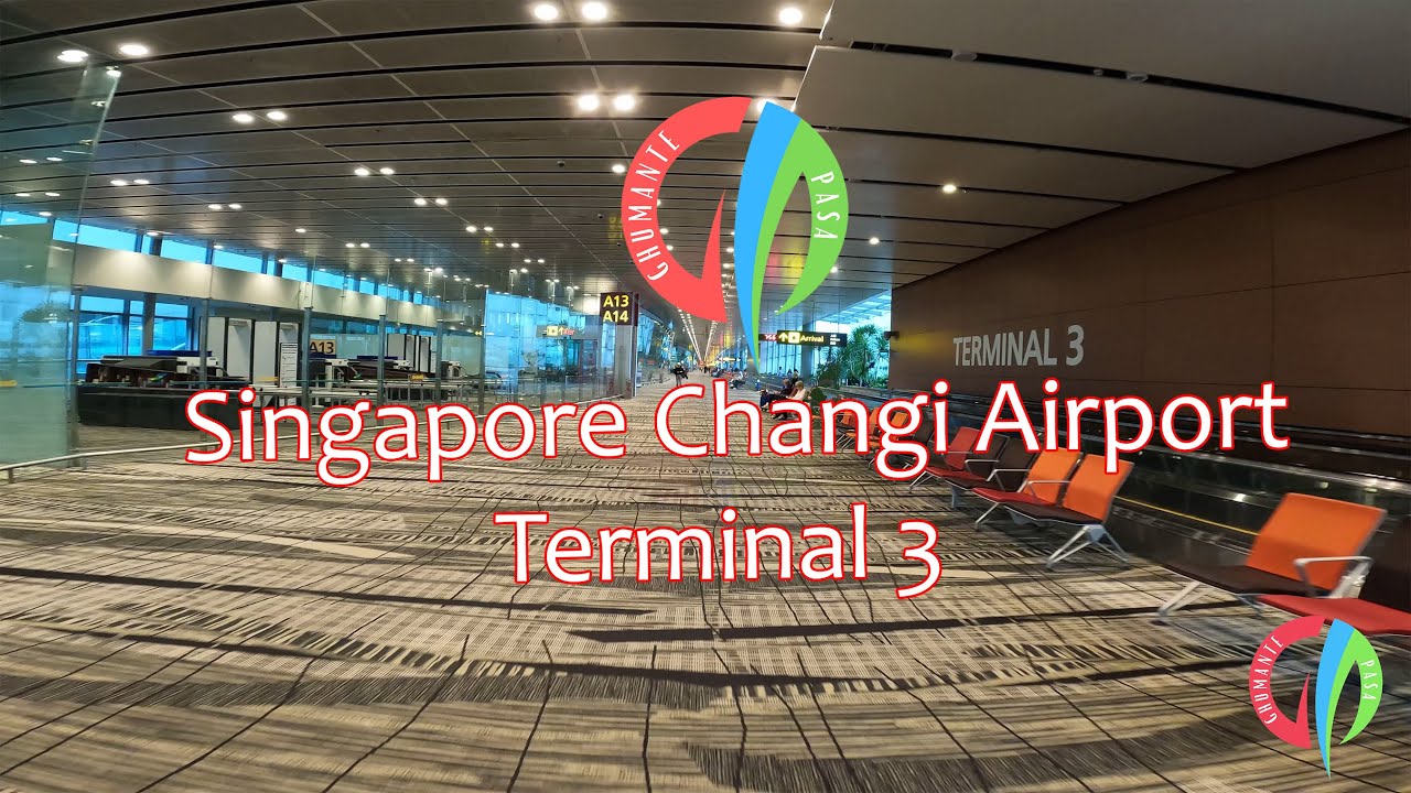 Changi Airport Terminal 3 Tour || Singapore