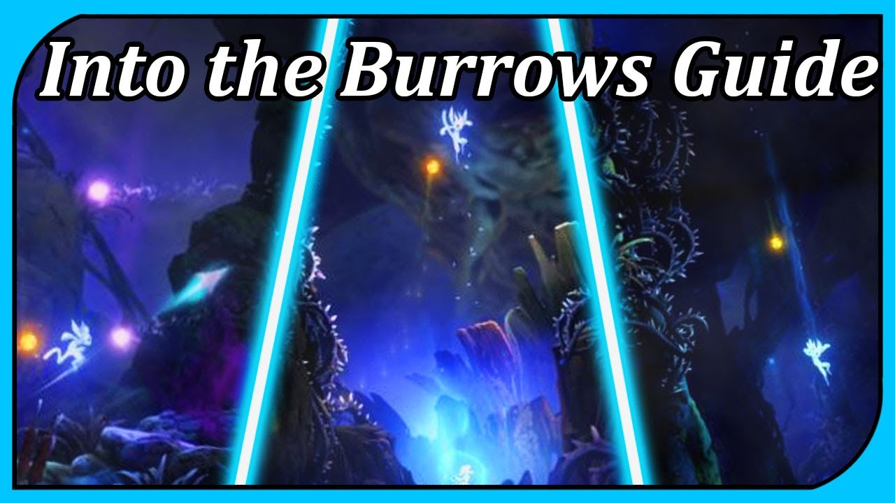 Into the Burrows Quest | Ori and the Will of the Wisps