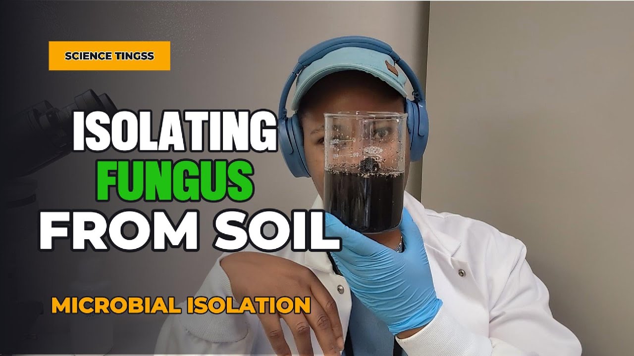 Hunting for soil microbes: How I isolate Trichoderma; from soil to petri @sciencetingss