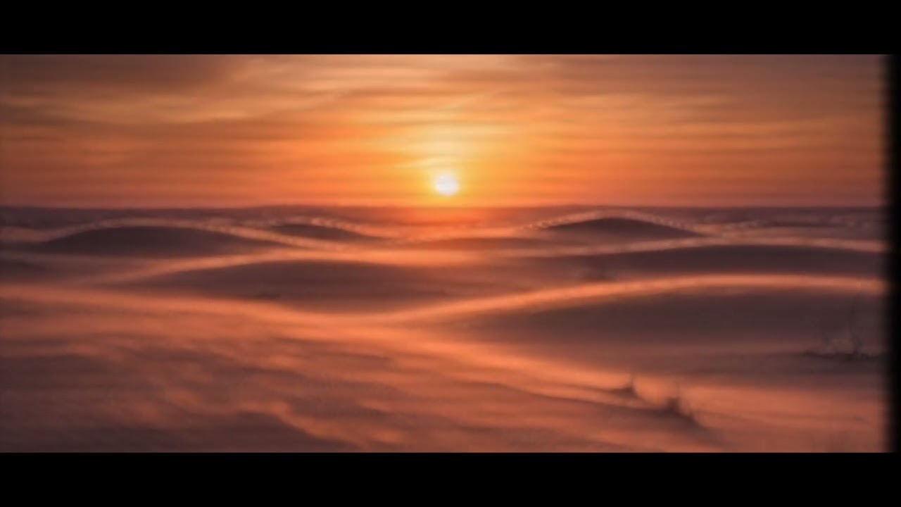 Desert tide