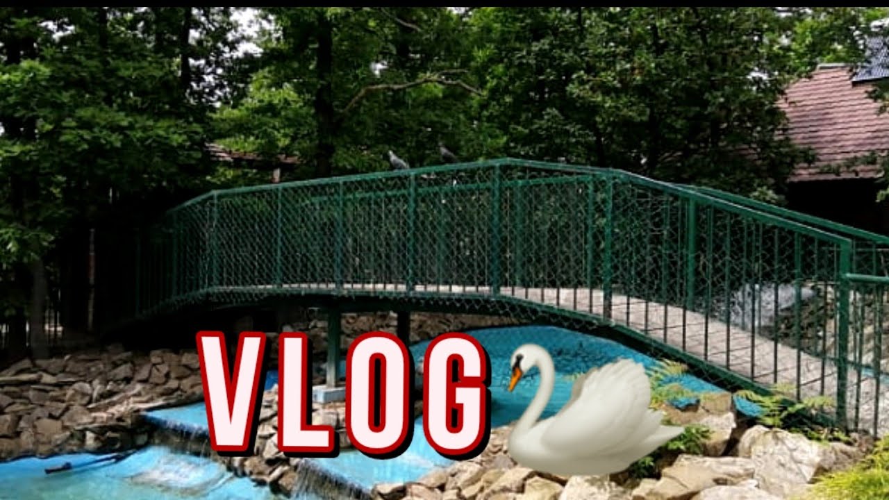 VLOG| IDEM U ZOOLOSKI VRT 🐯 #3