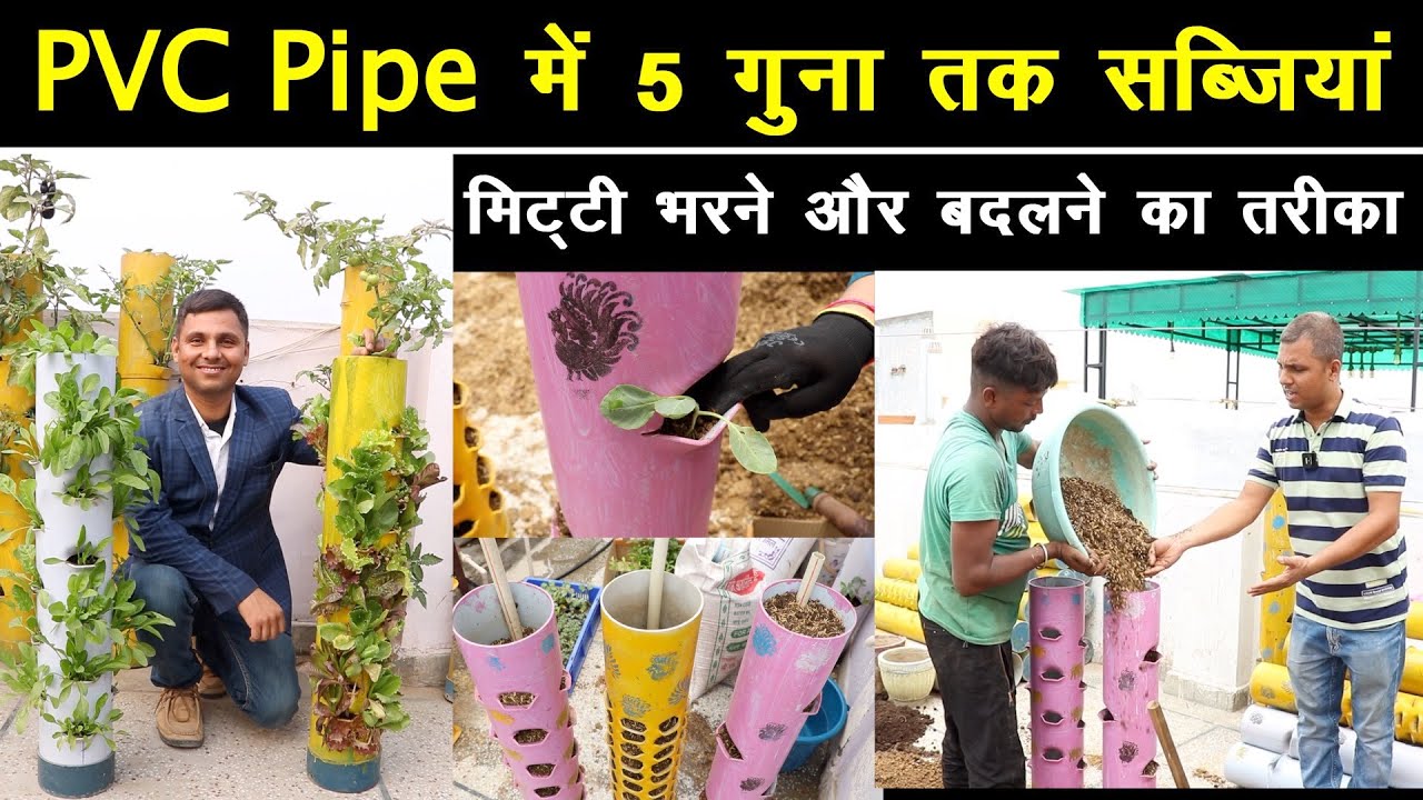 गमले से भी आसान है PVC Pipe के लिए मिट्टी तैयार करना 😍 Vegetables in PVC Pipe || Unique Farming