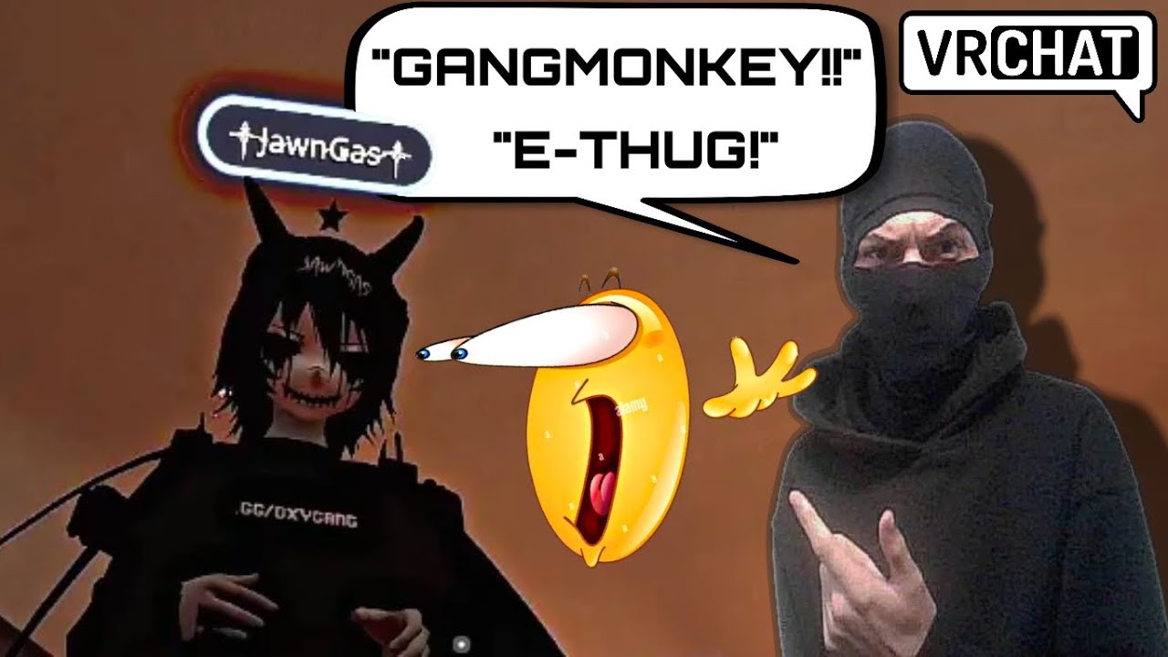 How I Became A Vrchat Crasher