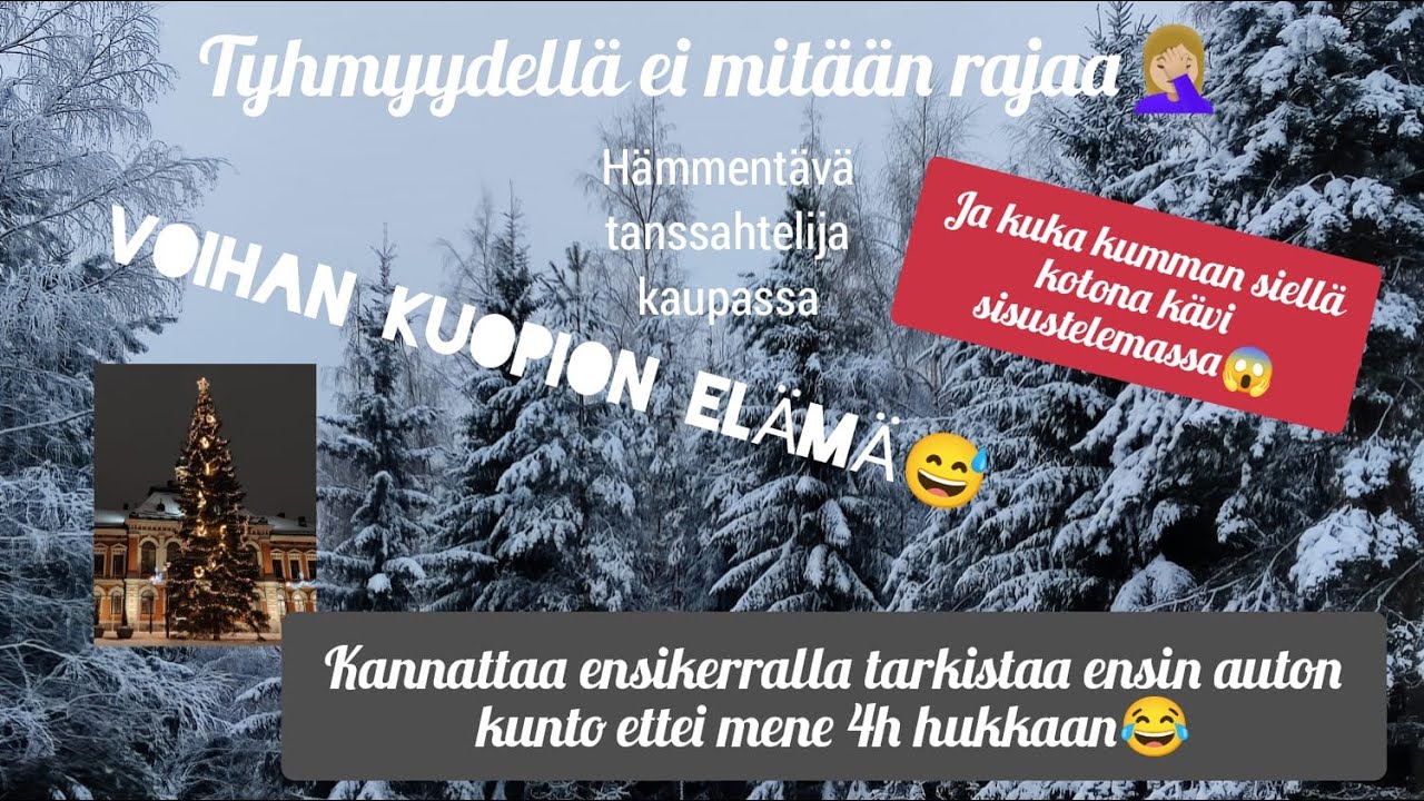 12 IDIOOTTIMAISTA RIKOSTA, PUHALLETTU 4,5 TUNNISSA, P&Ouml;LLITYT LEIVOKSET JA OUTOJA MURTOVARKAITA | #94