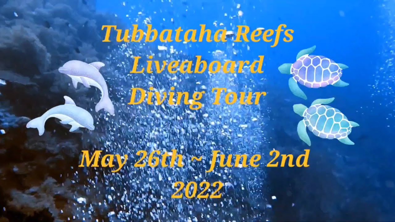 Tubbataha Reefs Liveaboard Diving Vlog. [4K].Philippine.Relaxation투바타하리프 필리핀스쿠버다이빙 scuba diving vlog