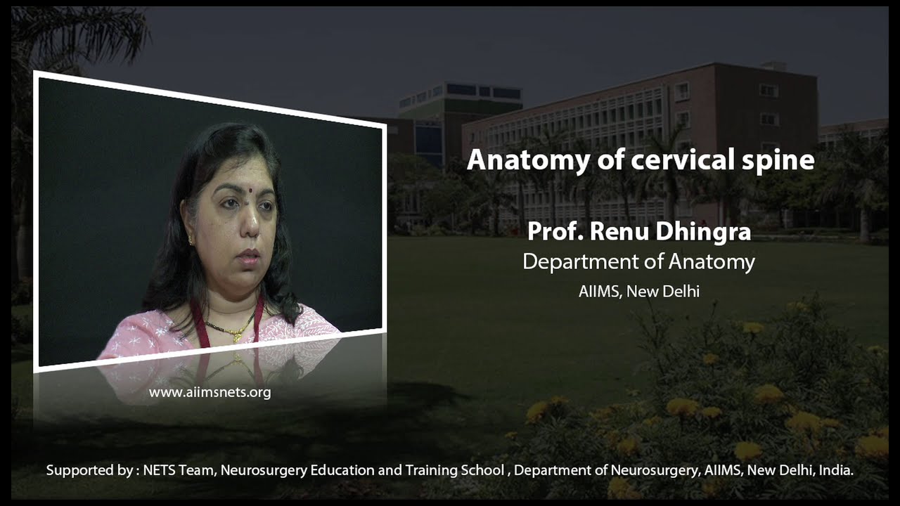 Anatomy of cervical spine